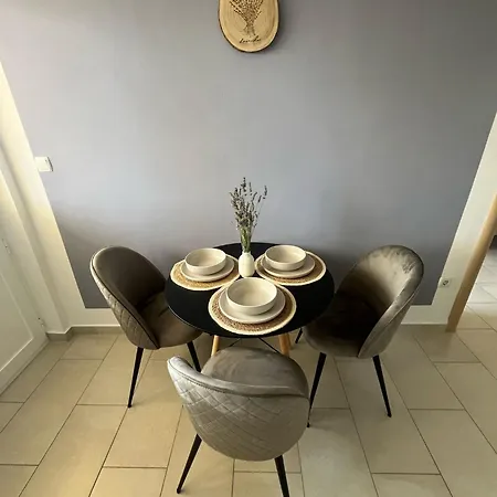 Stancic 公寓 沃迪切